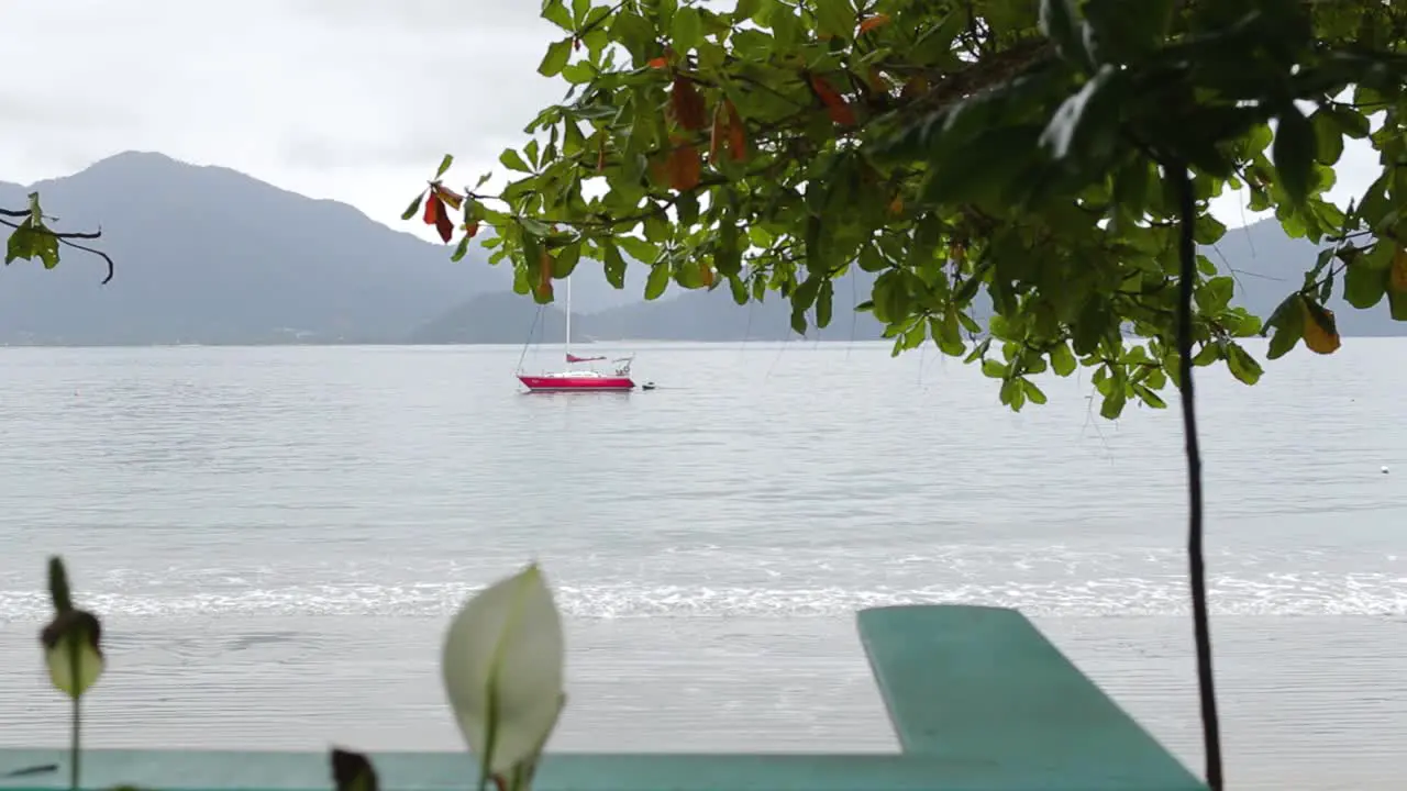 Revealing side traveling shot of tree and lonely boat in the middle of the sea