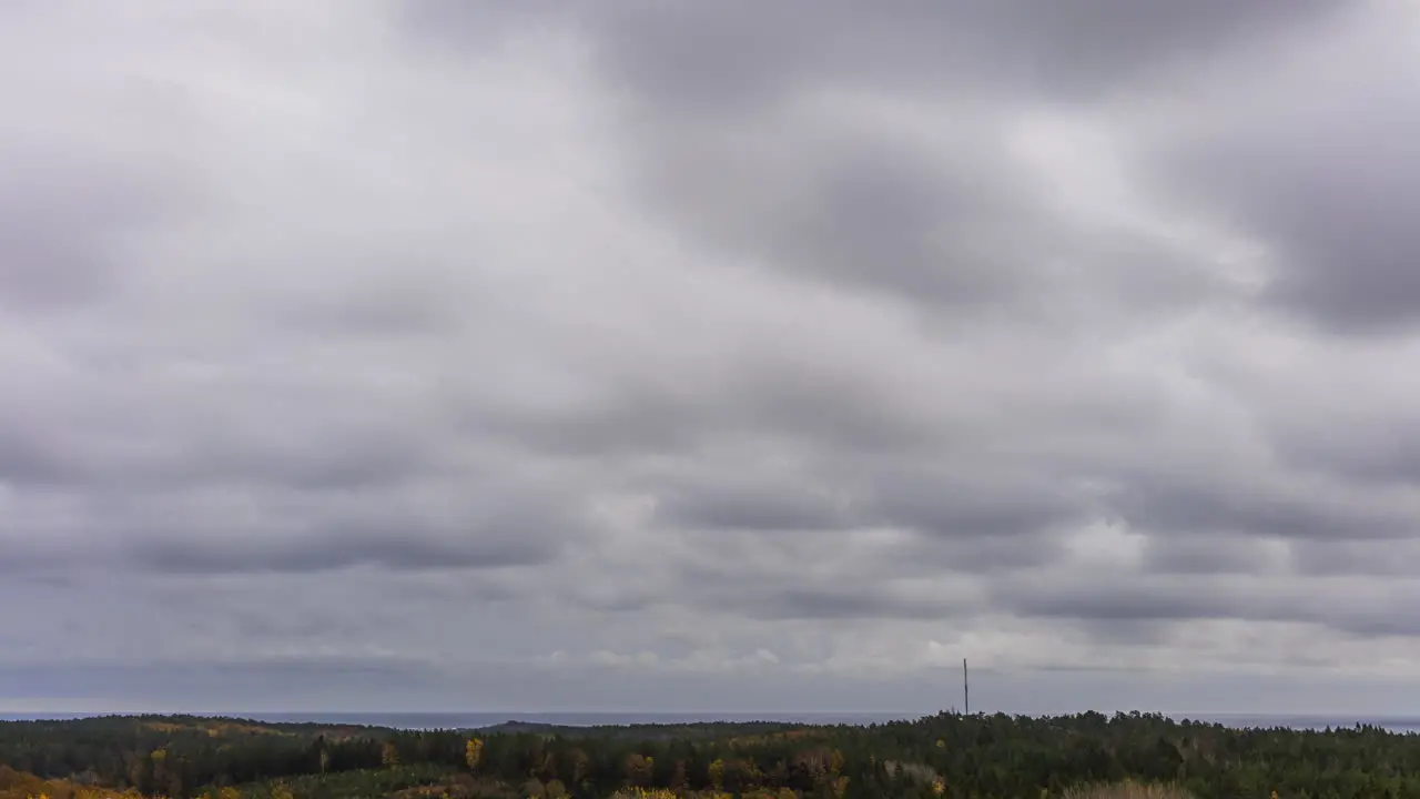 Thick Storm Clouds in Sky Drift Over Woodlands Below Cloudscape Timelapse