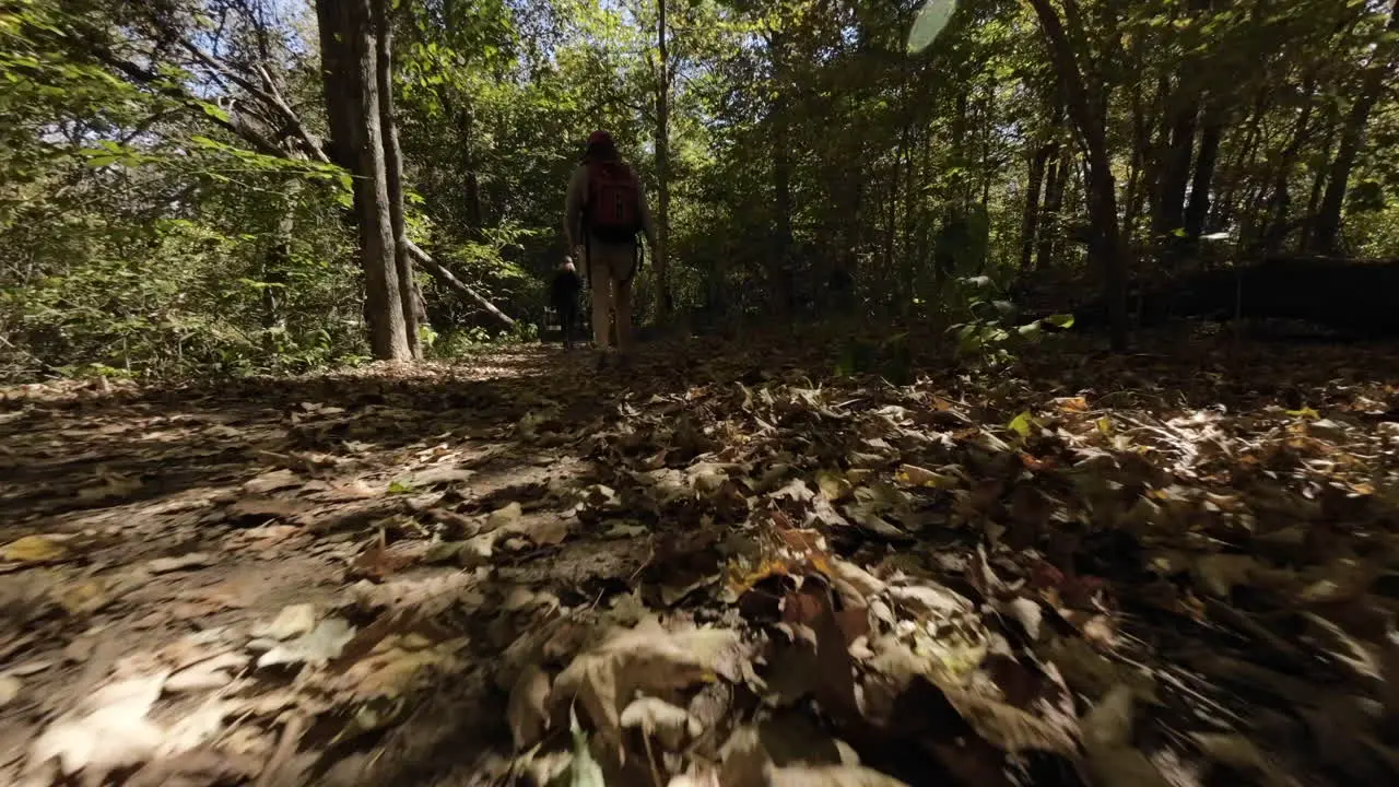 Low angle through woods and over trees following a hiker in slow motion