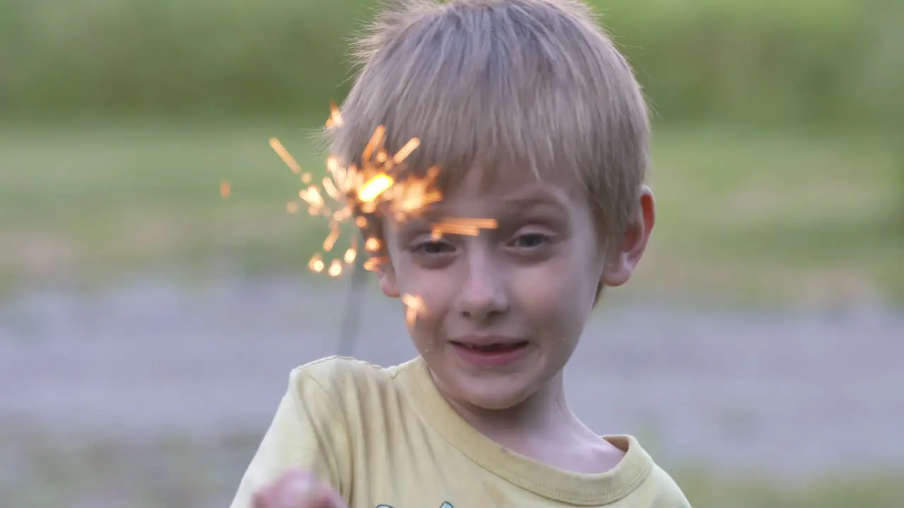 Portrait of an adorable little boy playing with a sparkler