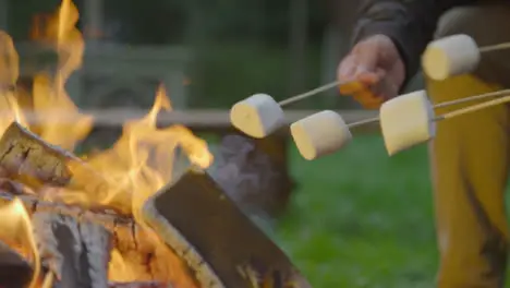 Close Up Shot of Marshmallows On Sticks by Campfire 01