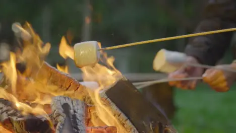 Close Up Shot of Marshmallows On Sticks by Campfire 02