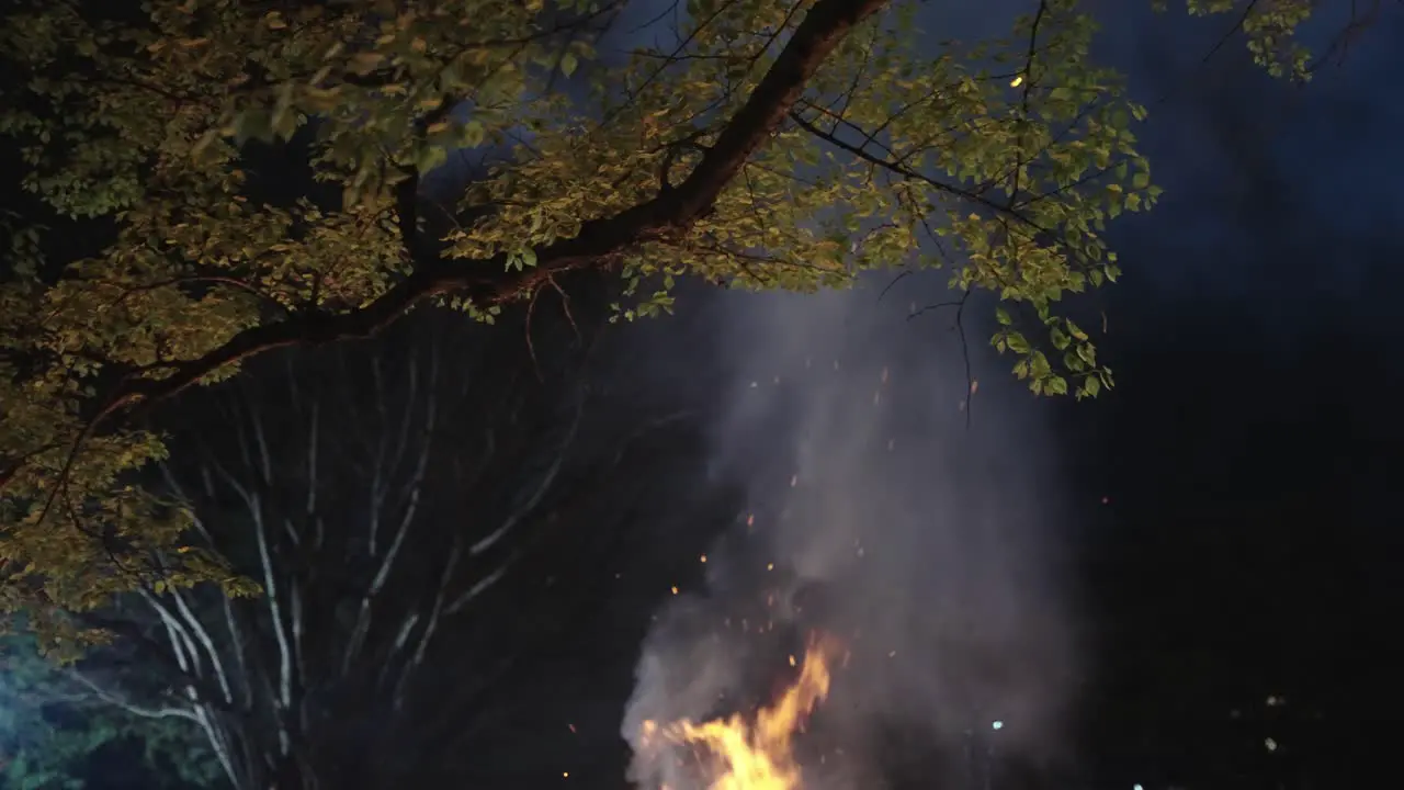 Smoke and Flames Rise towards Trees at Hachiman Matsuri Shiga Japan