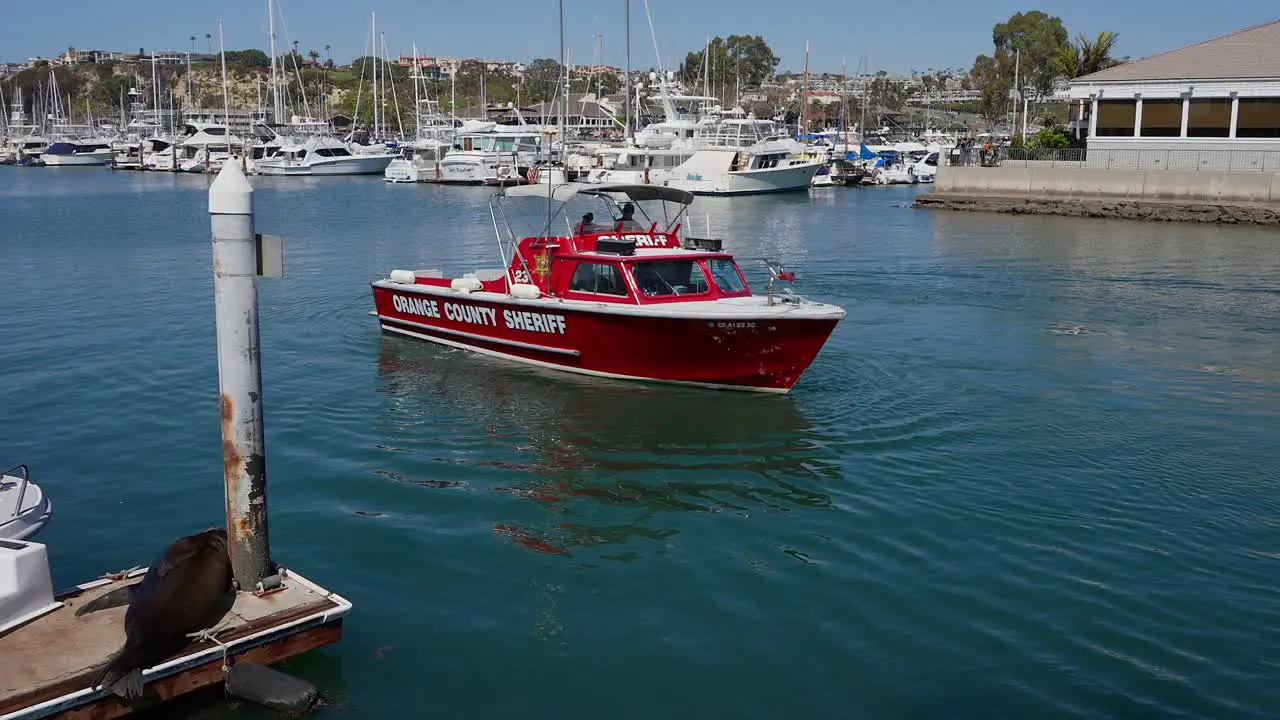 Orange County Sheriff boat turning in Dana Point Harbor in Southern California