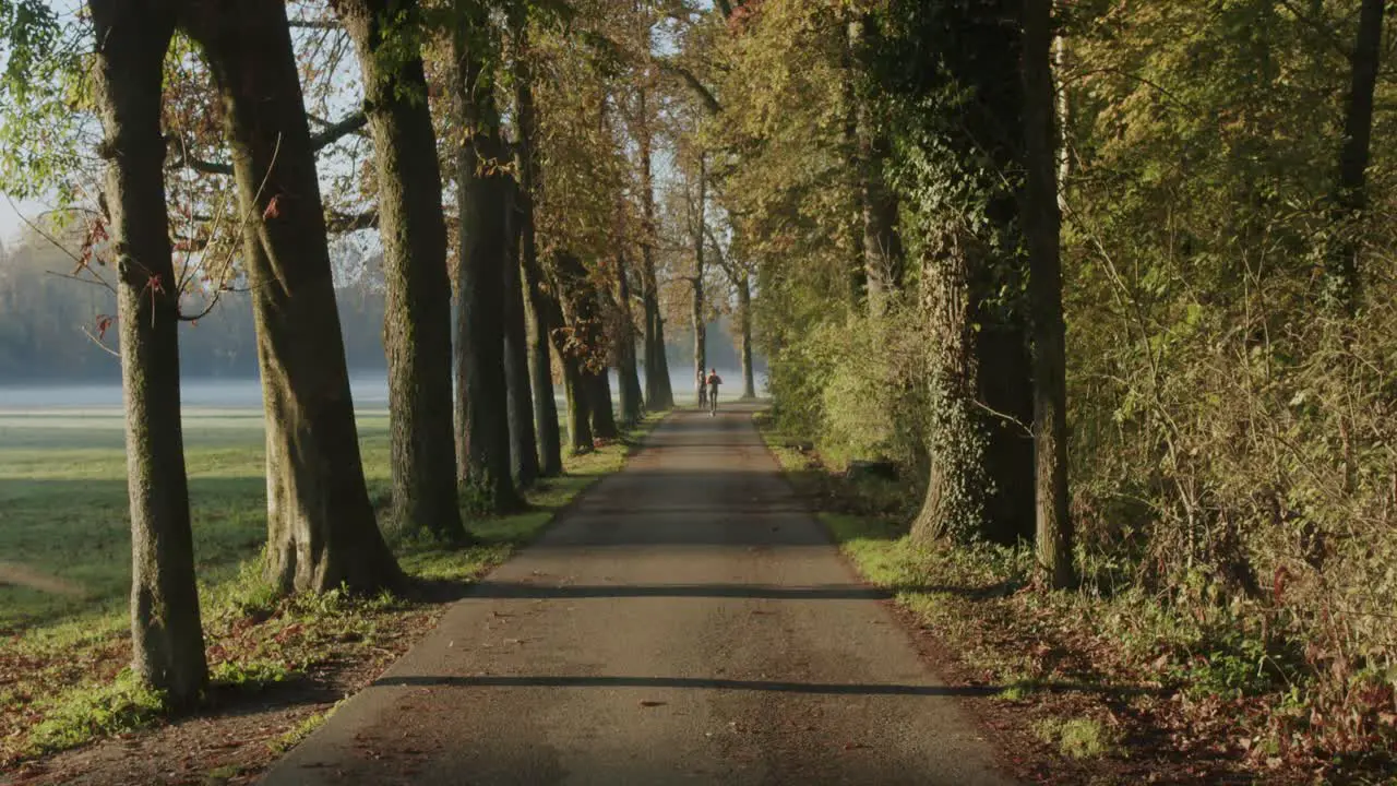 A man runs on a road in a park during a cold morning during autumn while the sun is rising