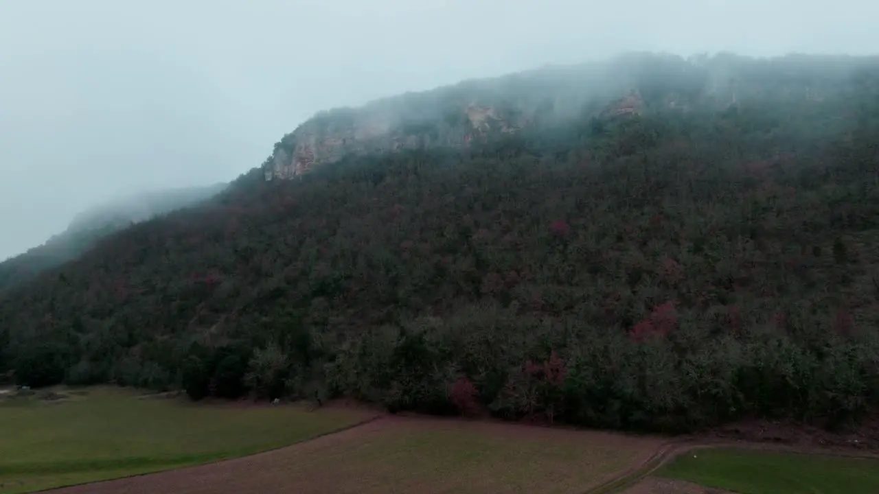 Through trees discovery of cliffs with ochre colors in the mist in autumn atmosphere at sunset Céou valley Dordogne France