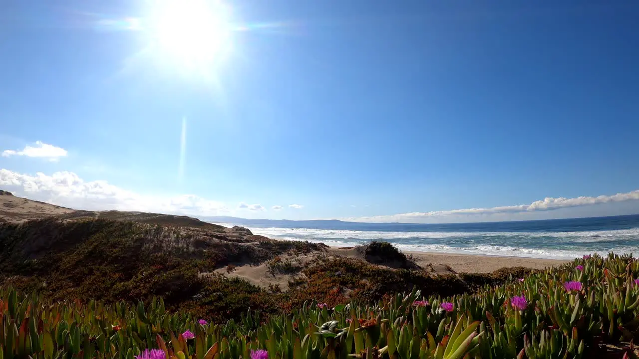 Sunny bright and colorful beach landscape on top of sand dunes in Monterey Bay California 