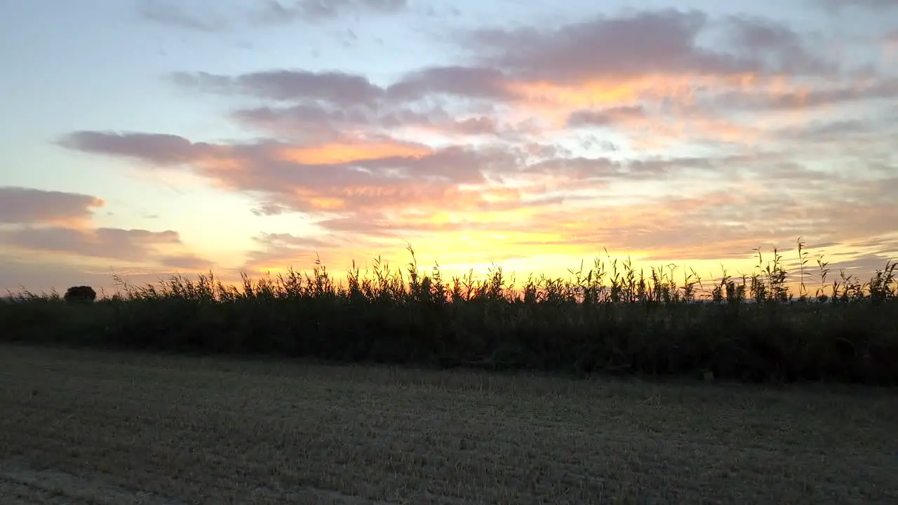 Drone flying low over harvested fields during golden hour