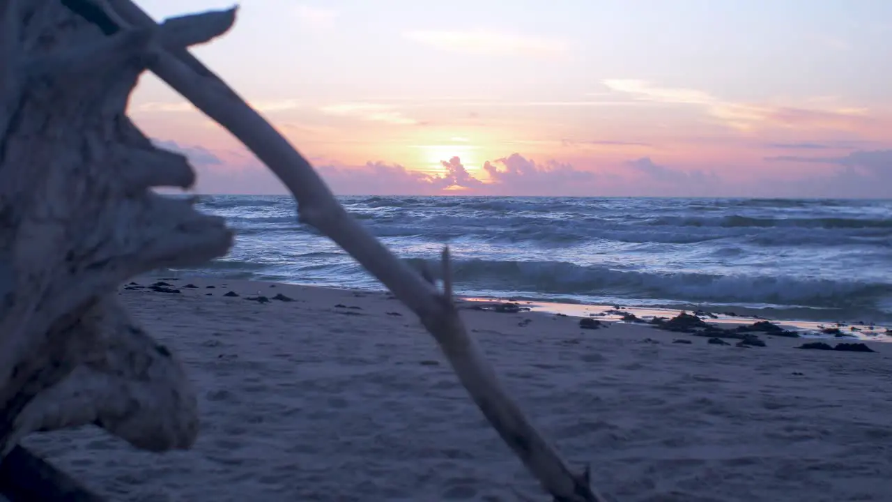 Beautiful sunset on the background of Baltic sea sun going beyond the horizon illuminating water and clouds in the sky tree log in foreground calm sea waves romantic mood copy space medium shot