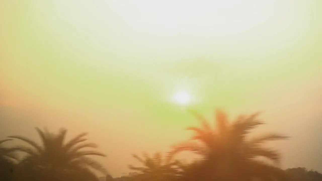 sun flair passing through trees orange sun set sunrise india train pov slow motion