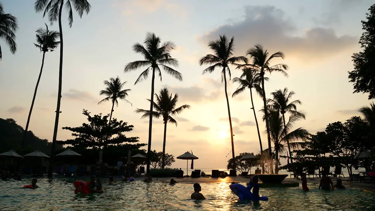 timelapse swimming pool and sillhouette palm with sunset