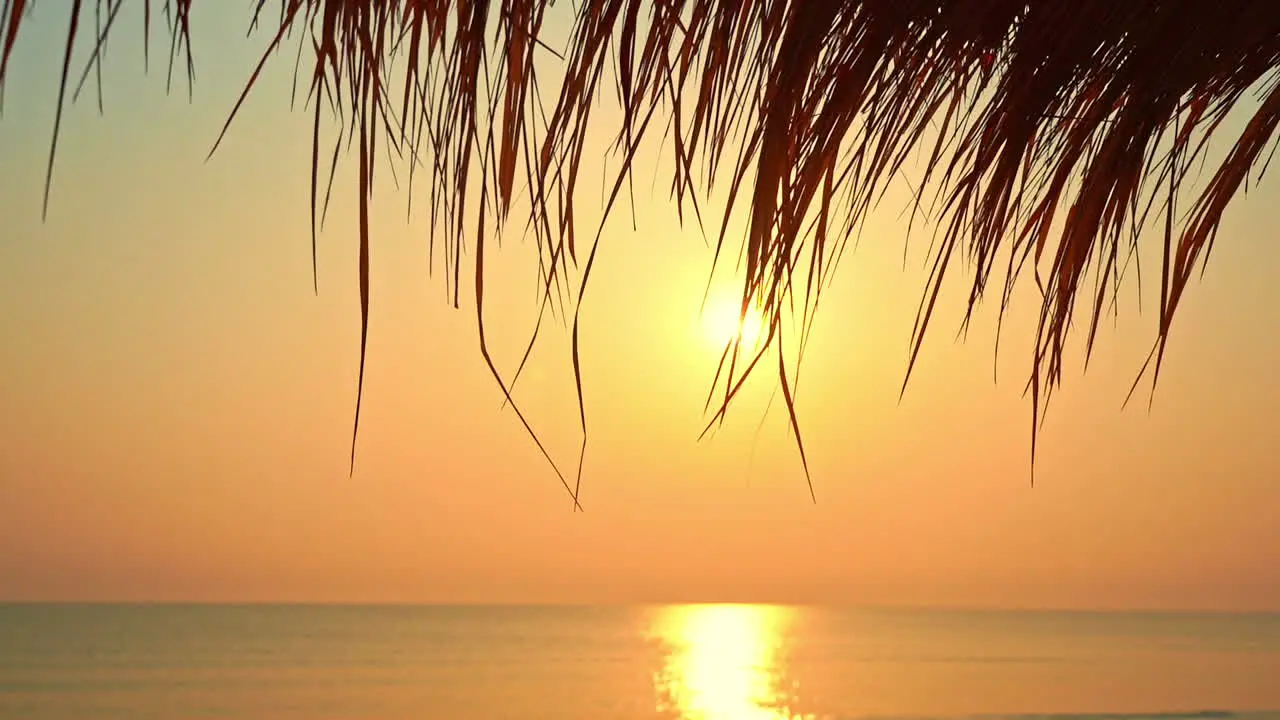 Exotic view of the sunset over the sea with the palm tree branch silhouette in the foreground