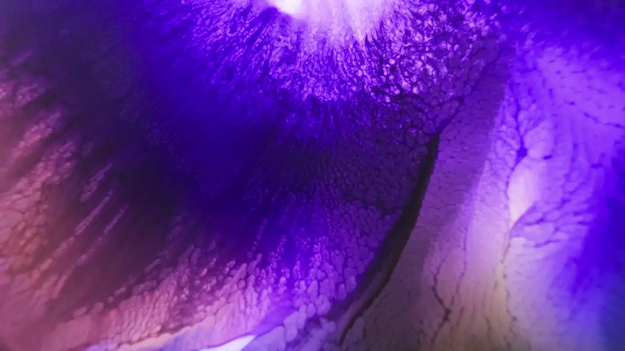 Close-up of purple ink spreading in water with fractal-like patterns emerging