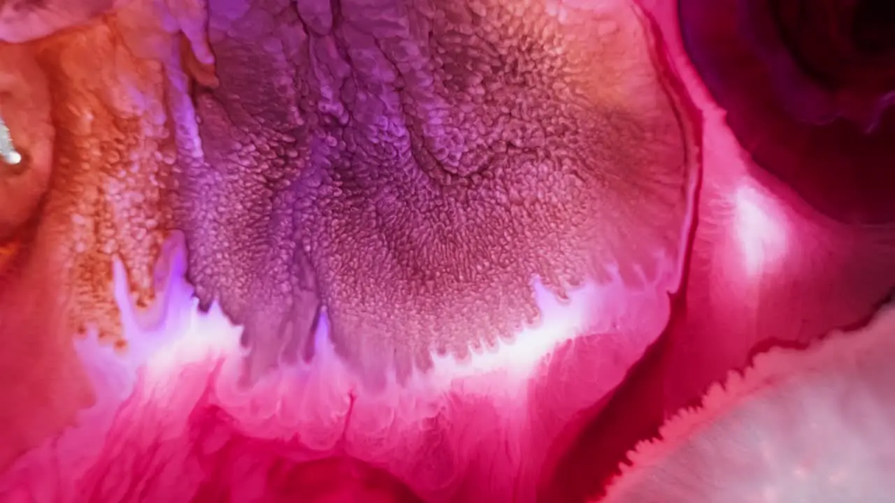 Pink and purple ink diffusion in water with intricate fractal patterns macro shot