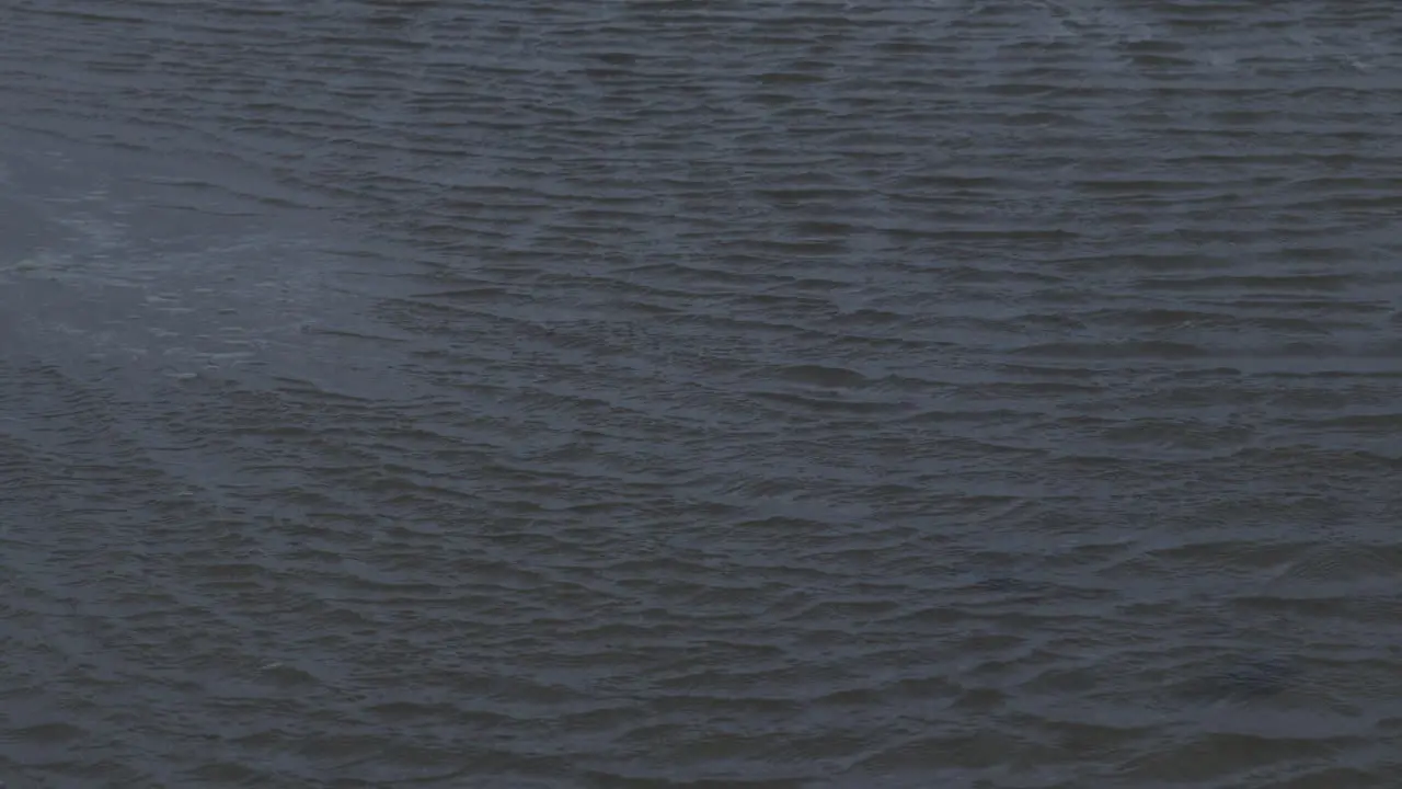 Dynamic water ripples created by strong wind on a gray overcast day capturing nature's motion