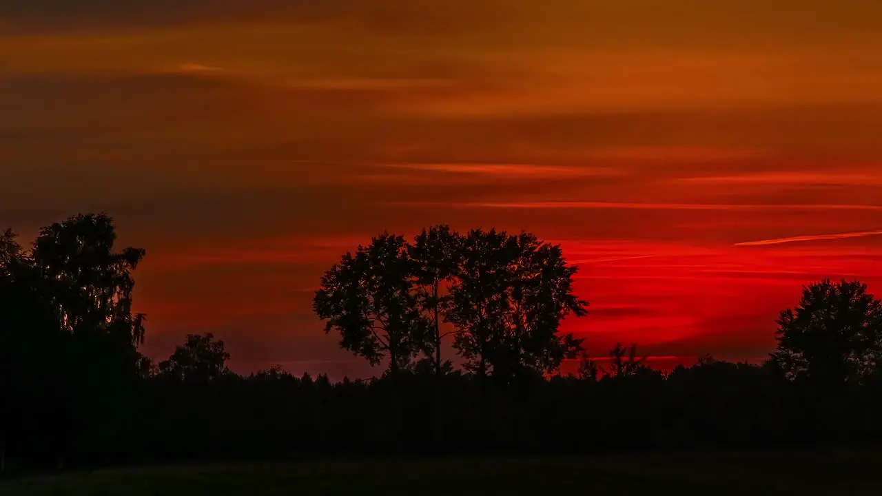 Timelapse shot of yellow sunset behind forest trees during beautiful autumn day with orange colored sky turning dark