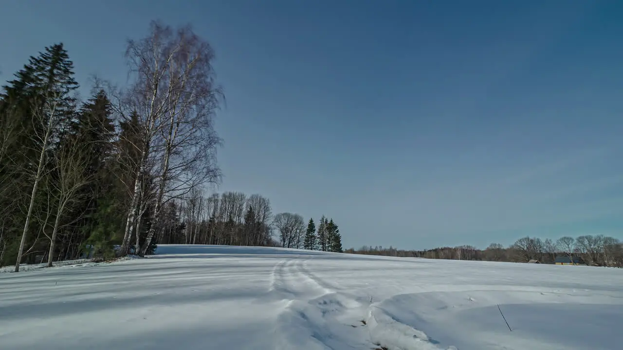 Static shot of snow covered field coniferous trees surrounded by trees and sun setting in timelapse