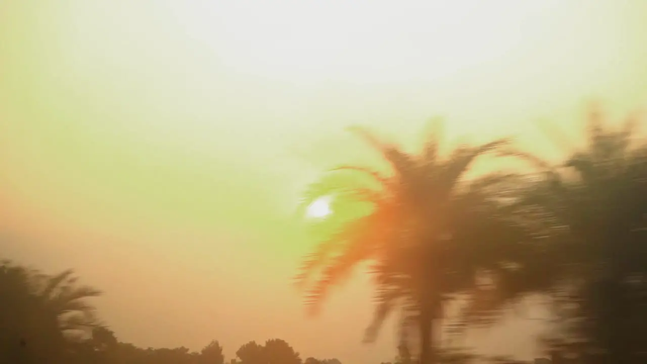 sun flair passing through trees orange sun set sunrise india train pov slow motion long shot morning