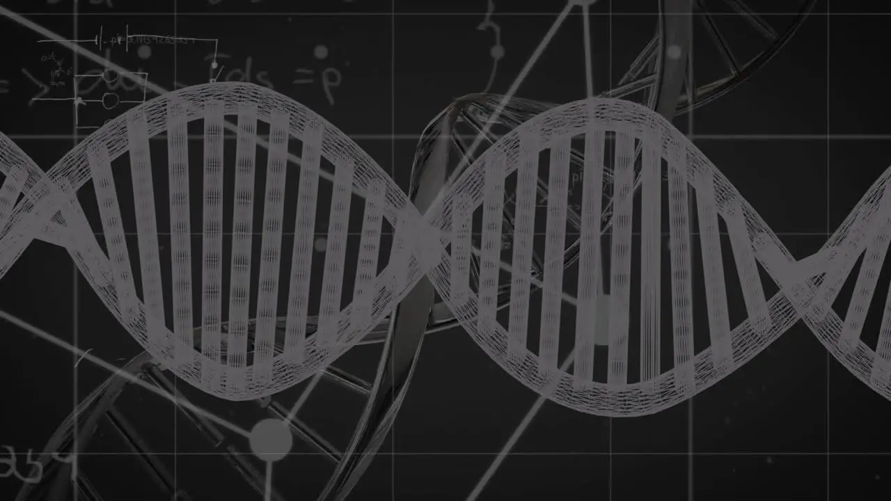 Animation of mathematical equations over dna strand