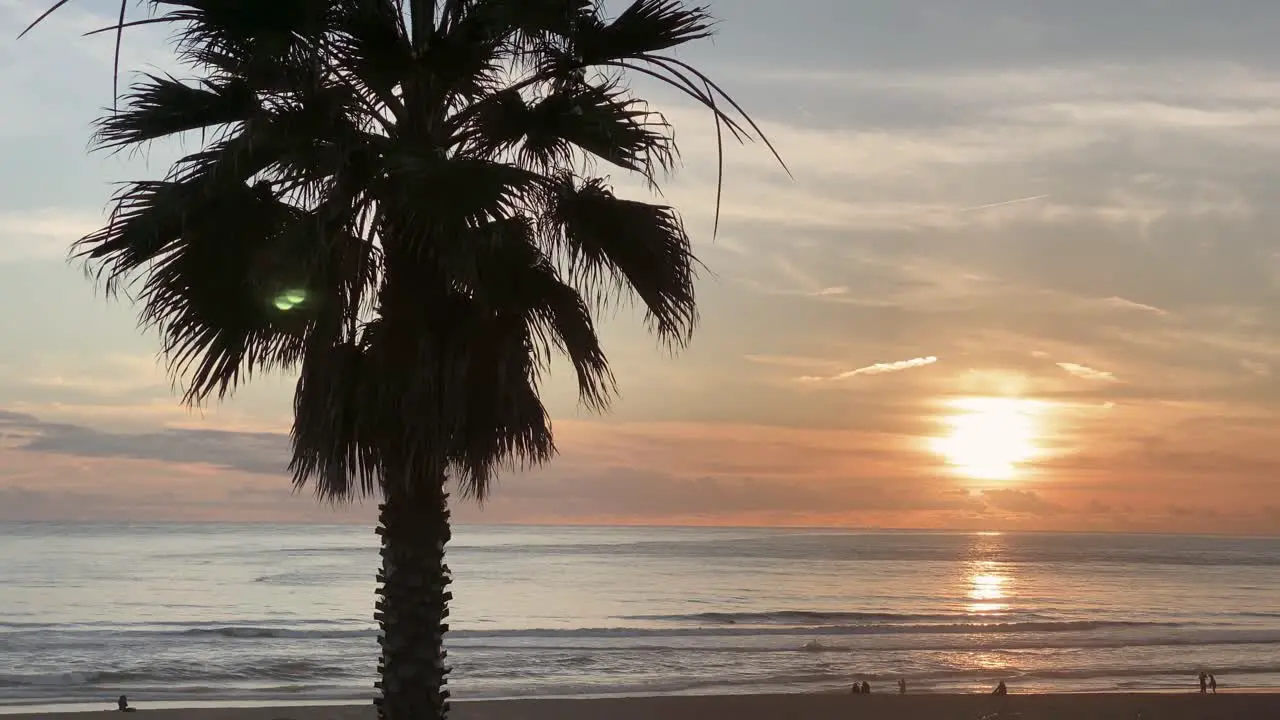 huge sunset over some waves with palms in front side