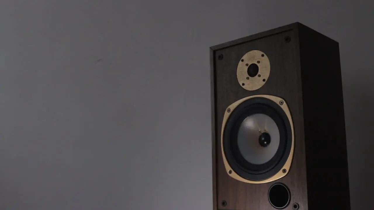 Single Speaker playing music