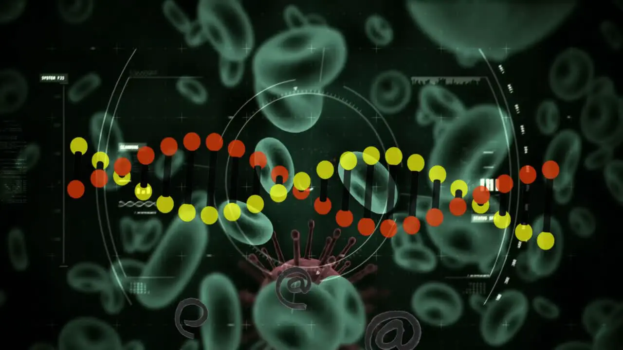 Animation of dna strand and data processing over virus and blood cells