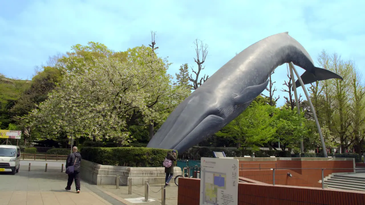 UENO TOKYO JAPAN blue whale object at NATIONAL MUSEUM OF NATURE AND SCIENCE TOKYO JAPAN circa April 2020 People riding bicycles walking in front of monument on cloudy spring day