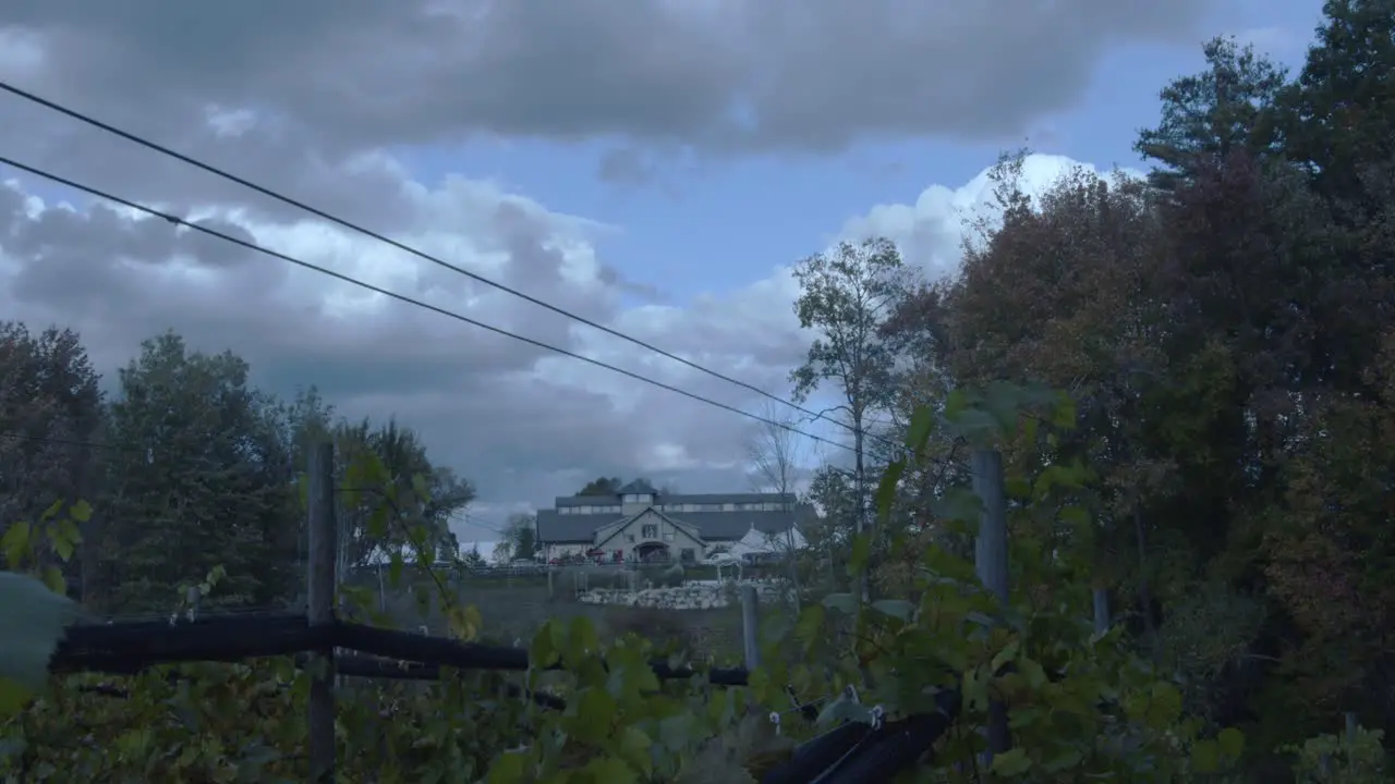 A winery sits in the distance as the camera descends into a thick vineyard amongst a cloudy blue sky