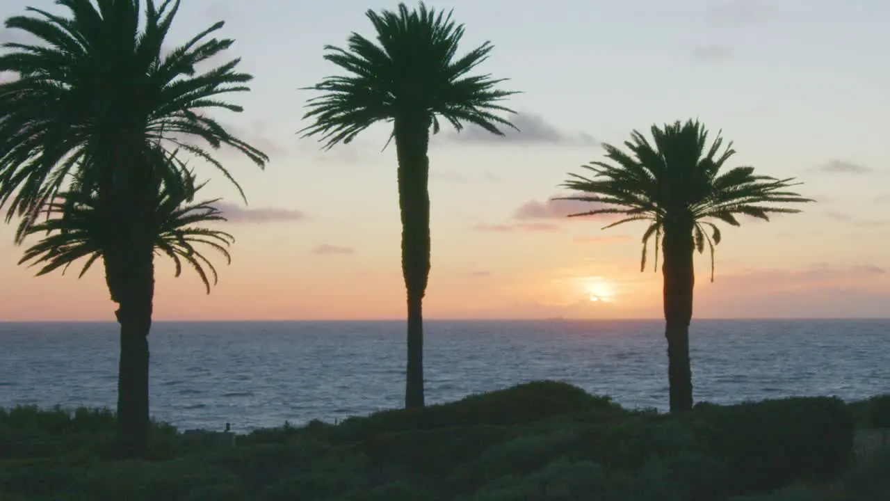 Slow motion shot of sun setting into ocean behind clouds through large palm trees with distant cargo ship on horizon