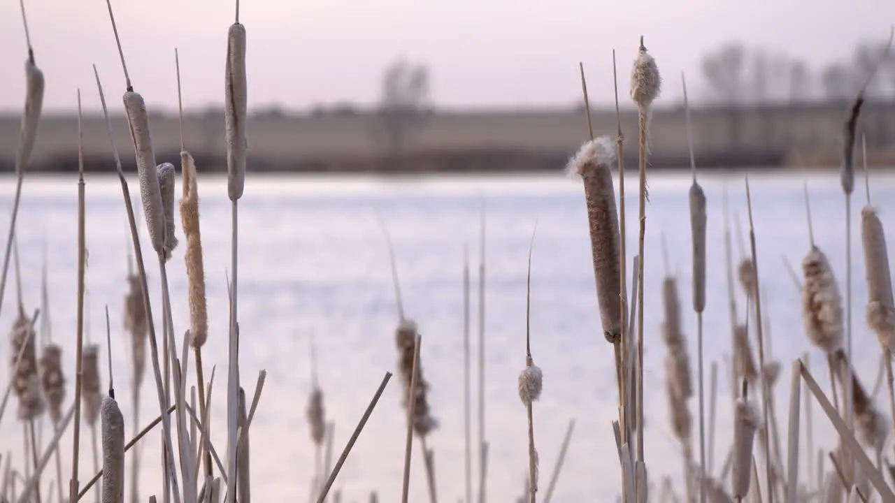 Video of the Snake River in Eastern Idaho near massacre rocks