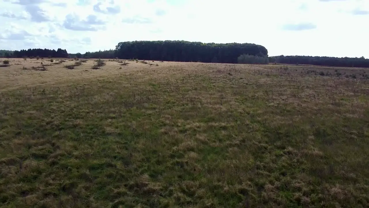 Nature drone shot from above