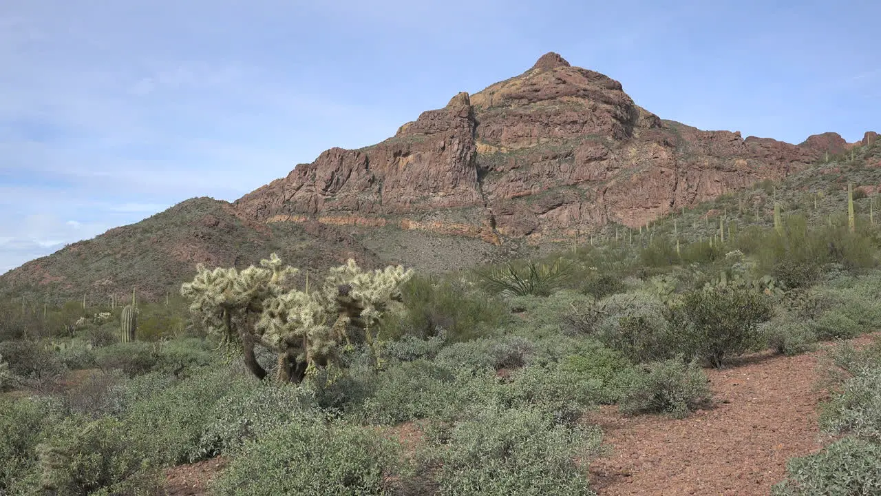 Arizona Mountain Landscape