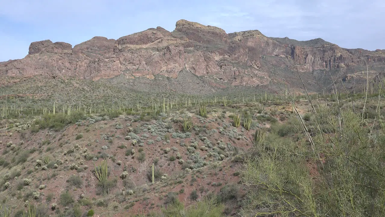 Arizona Good View Of Organ Pipe Zooms In