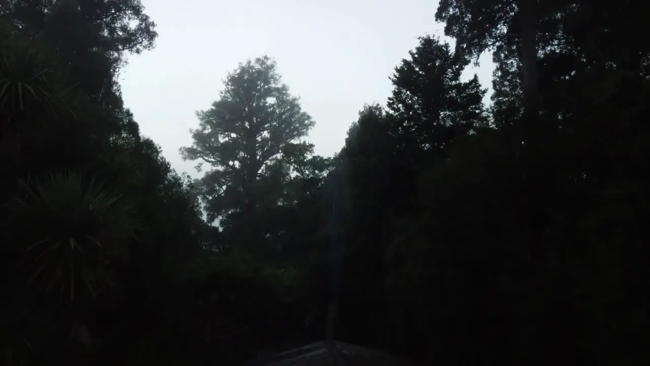 Open kitchen on a foggy day deep in a New Zealand Native Forest