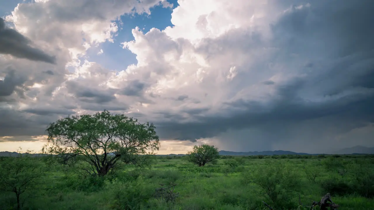 Beautiful time-lapse of clouds moving over green pasture with trees