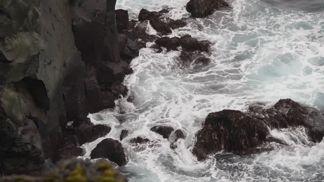 Northern fulmar fly near volcanic stone cliff above stormy ocean waves