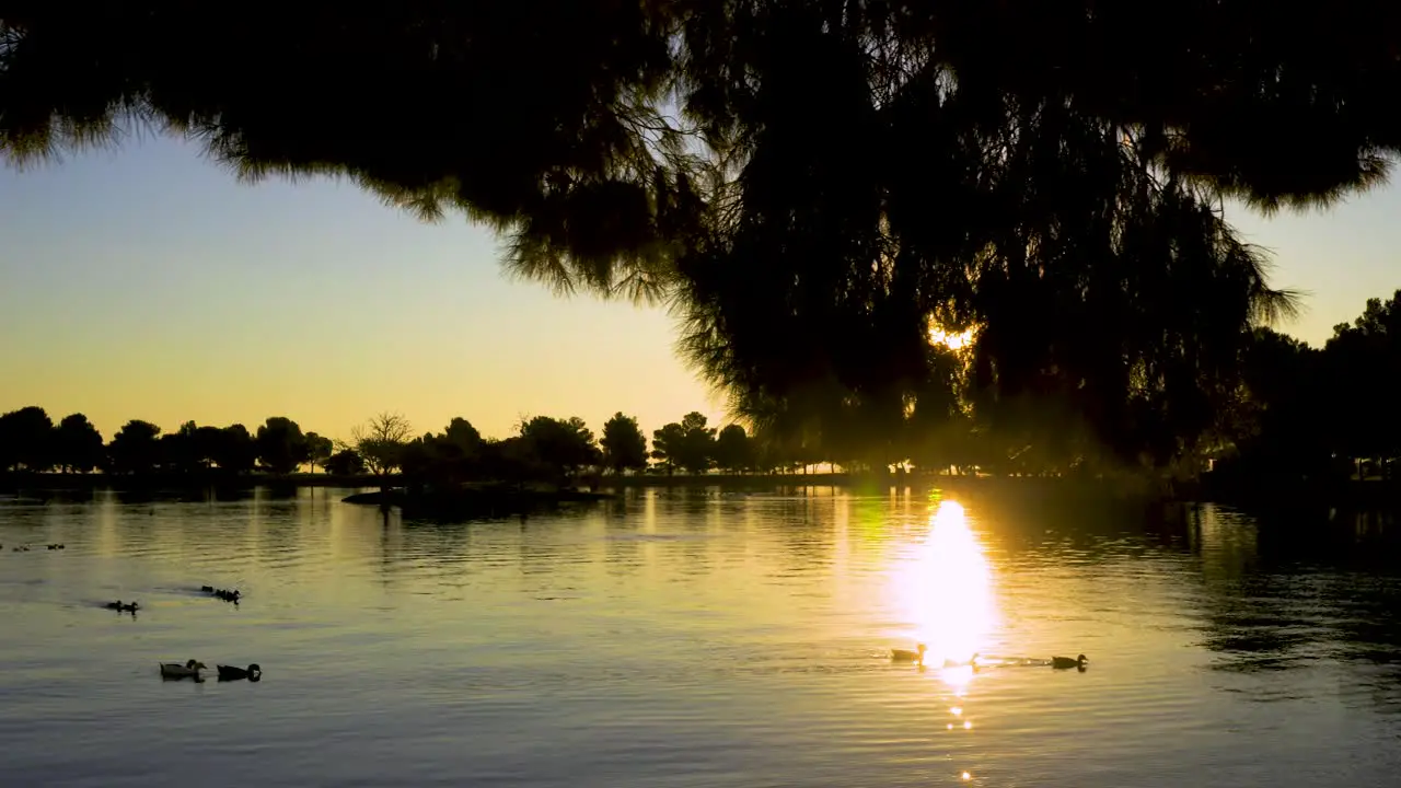 Lake Sunrise with ducks