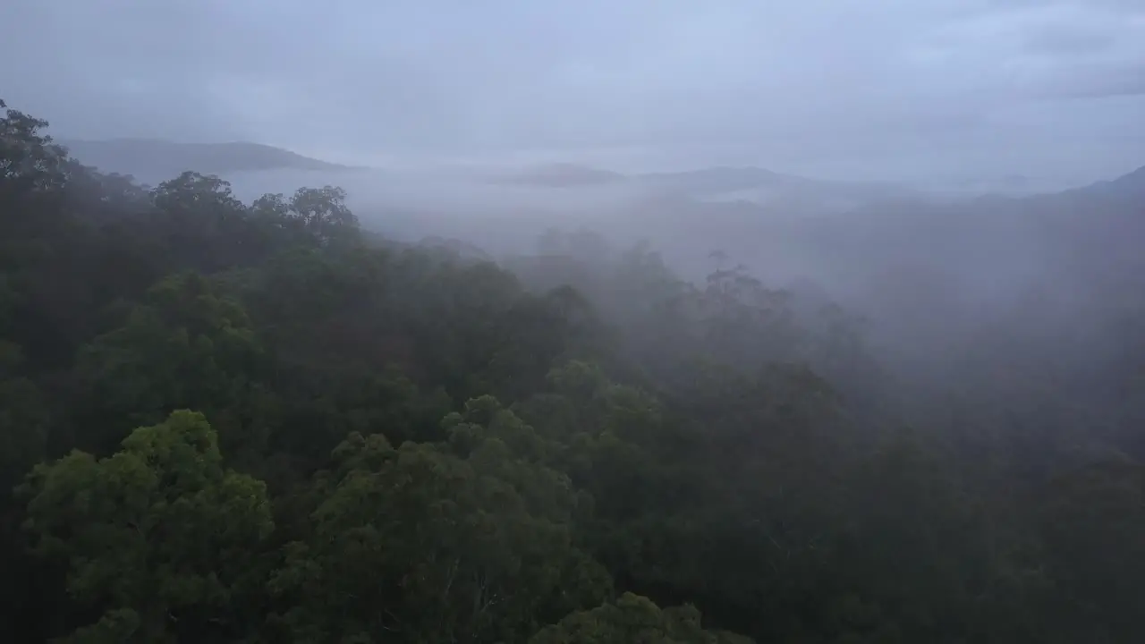 Low clouds over green forest Nambucca Valley in New South Wales Australia