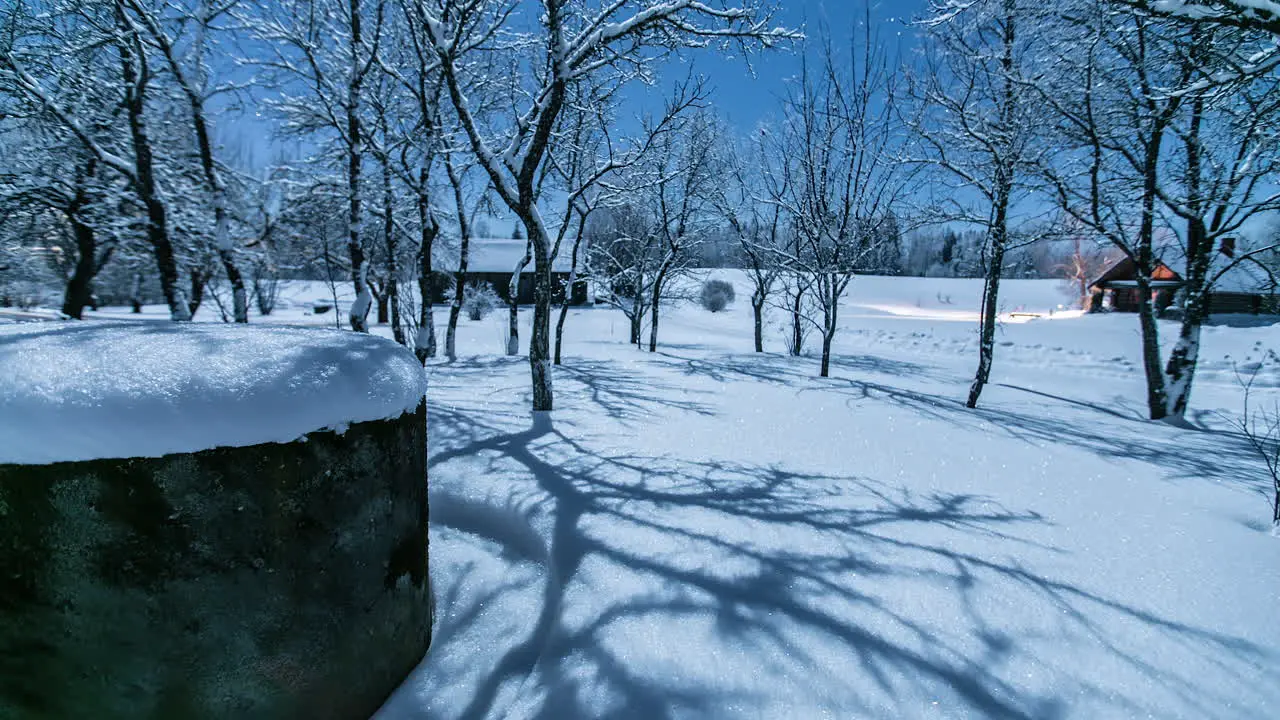 Glittering Snow On The Ground Under Moonlight At Night In Winter