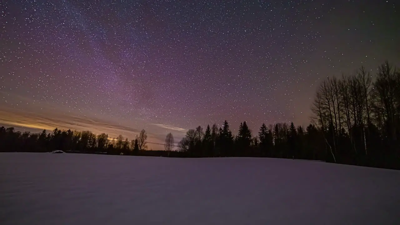 Night timelapse of starry sky with milky way galaxy visible in stars constellation with tree silhouettes background in timelapse