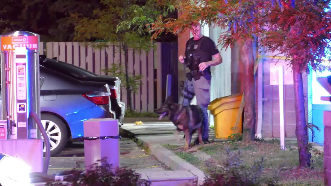 Policeman With A K9 Dog And A Flashlight Searching The Area For Evidence During Nighttime