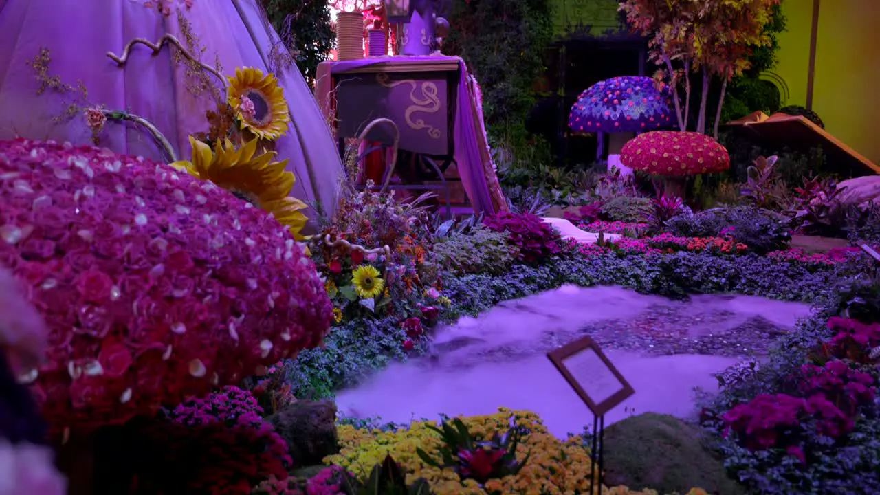 Colorful flowers create a fairytale scene with pink dress at the Bellagio Conservatory Las Vegas