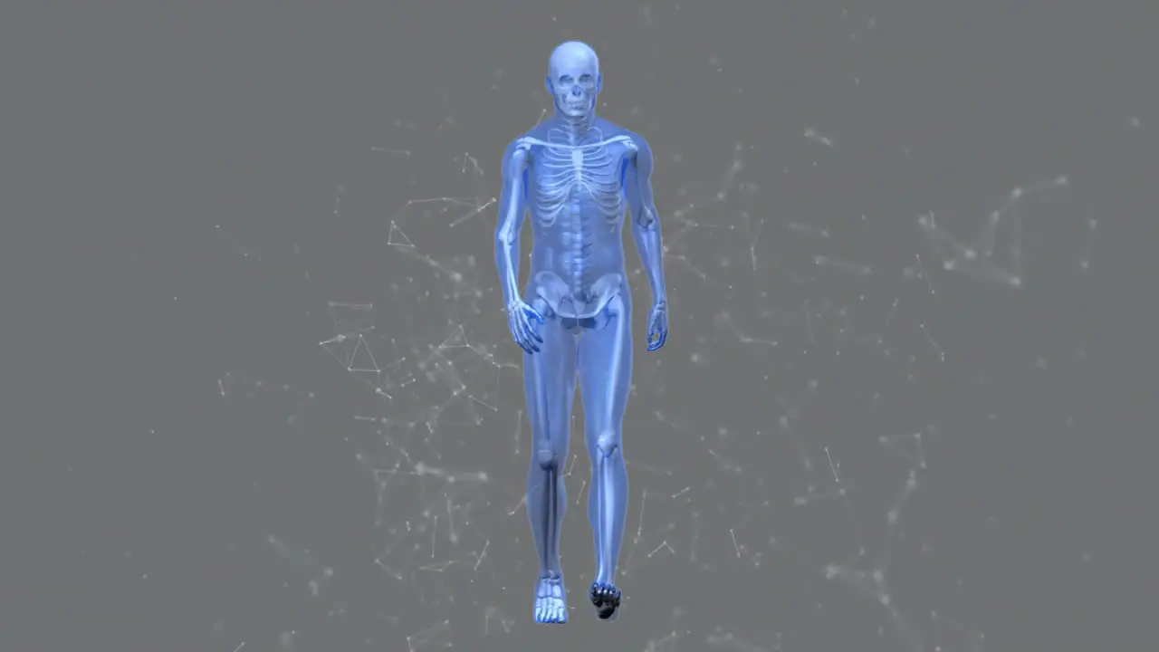 Animation of walking skeleton and shapes on gray background