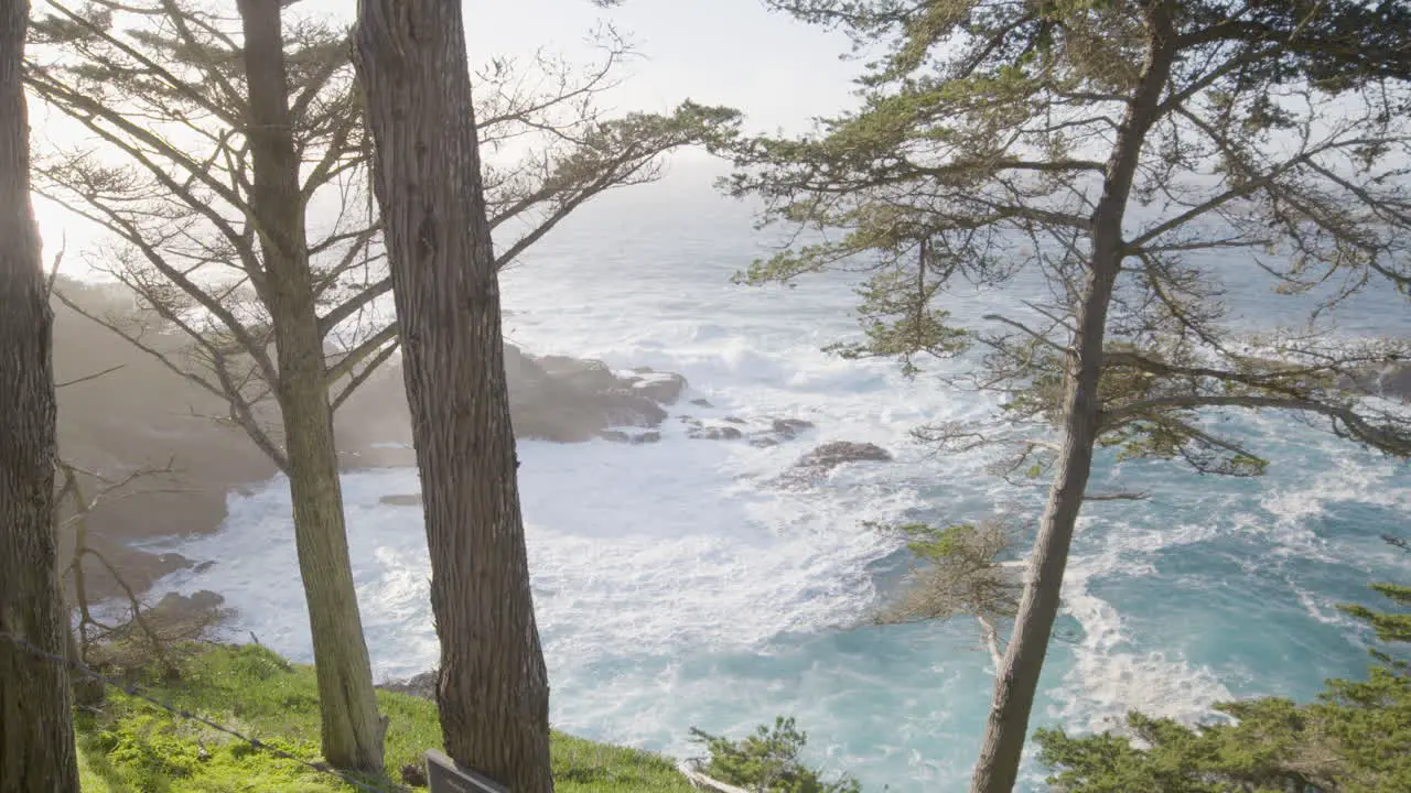 mountainside view of the Pacific ocean at Big Sur beach in Southern California through trees