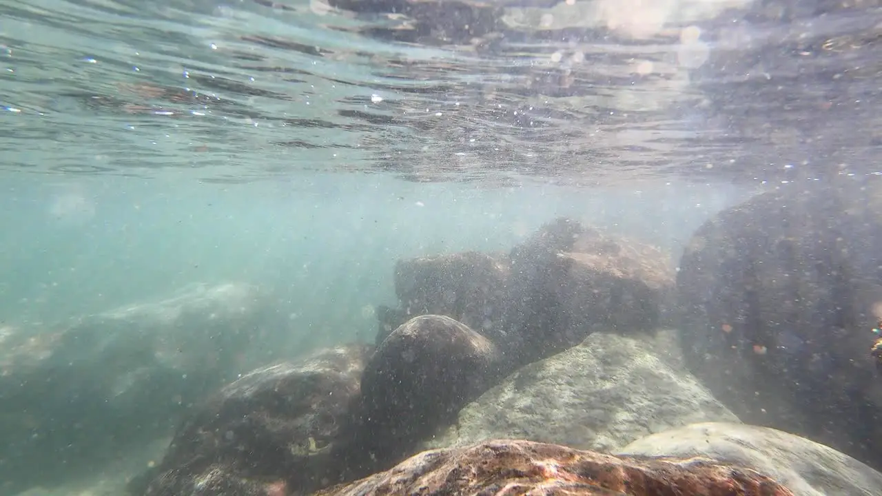 small tidal pool along the coast