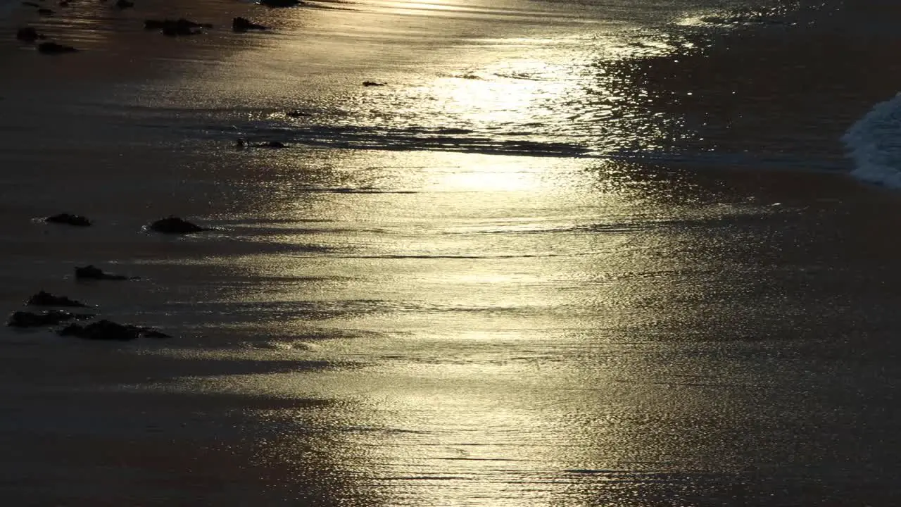 The beach at sunset along the coast