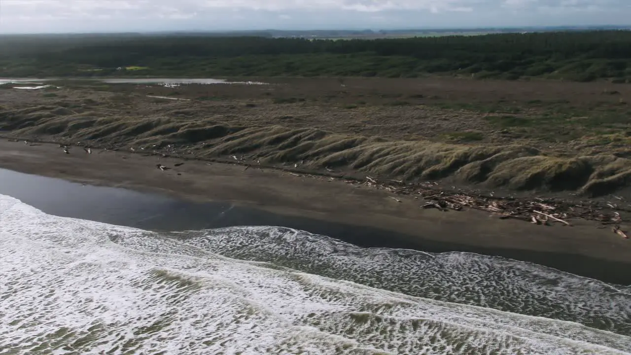 West Coast of New Zealand beach looking back to wetlands