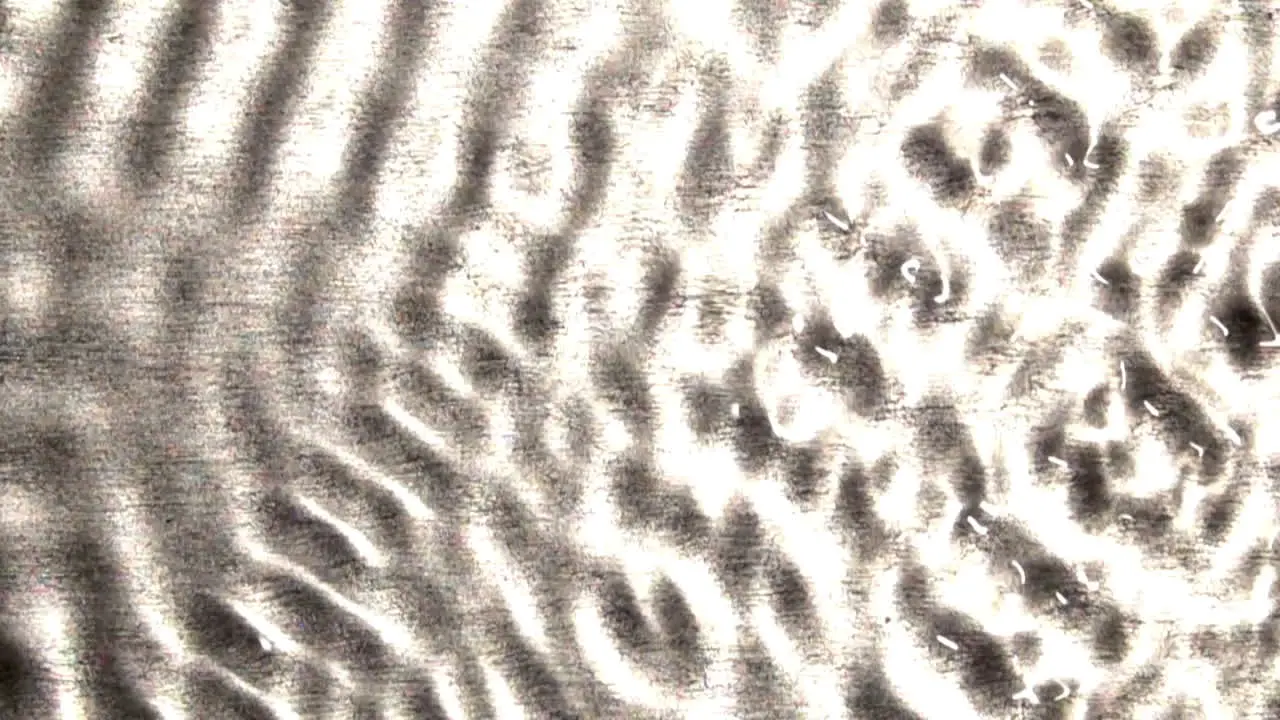 Interference patterns form as waves encroach from one side