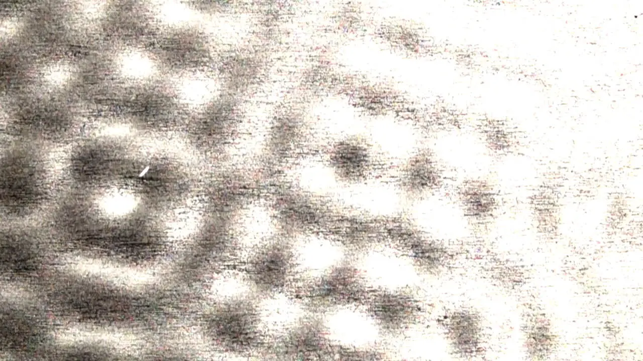 Chadni Patterns form in a vibrating liquid demonstrating node oscillation