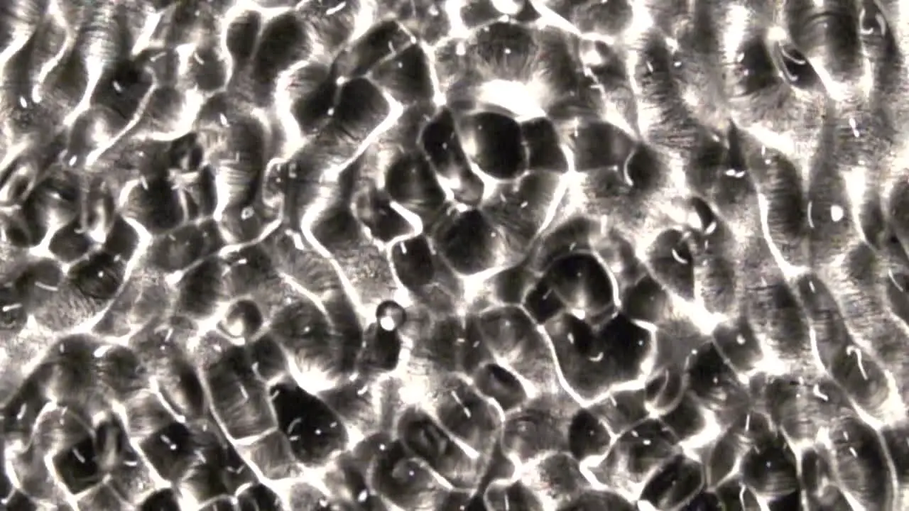 A spherical droplet moves above the surface of a roiling solution of isopropanol